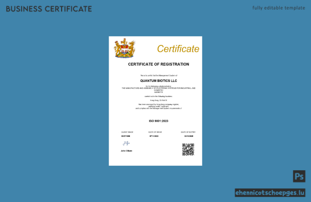 Beispielansicht der Registrierungsurkunde von Hongkong (Word- und PDF-Format)
